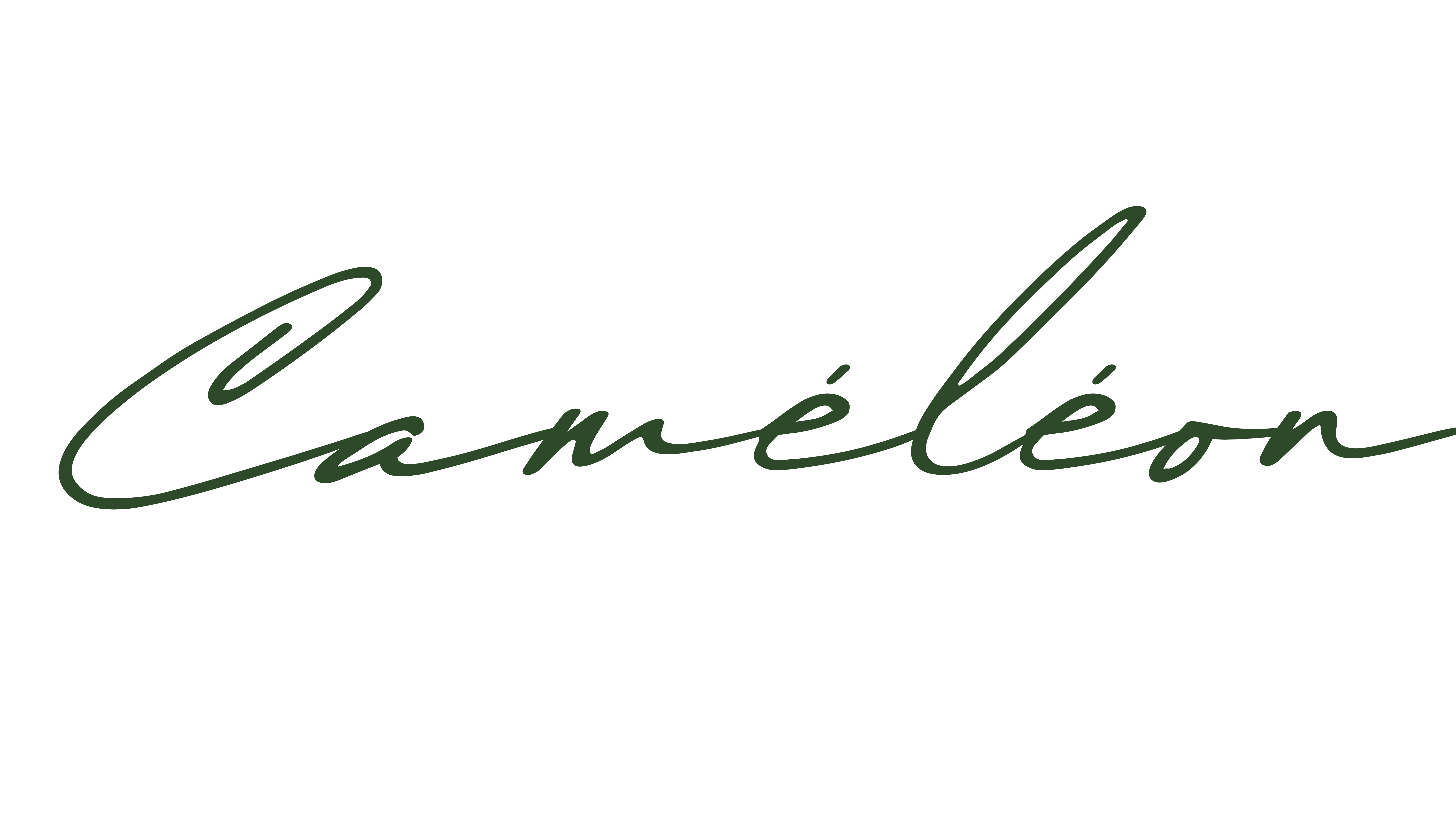 Caméléon