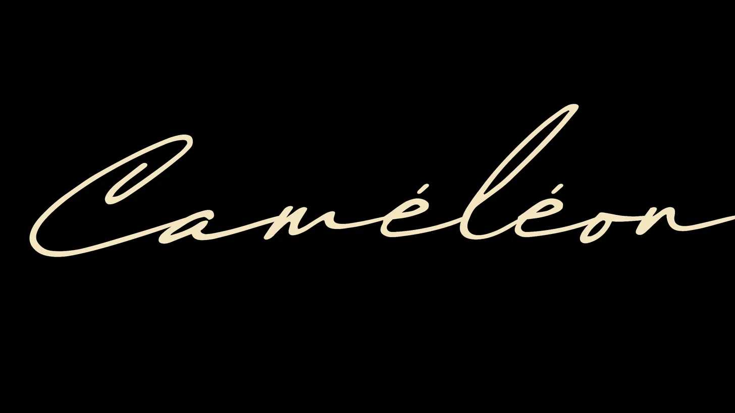 Company main logo
